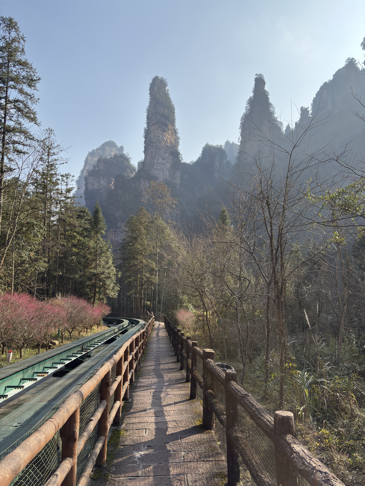 Picture China Zhangjiajie Tianzi Mountrain 2026-01 279 - Car Tianzi Mountrain