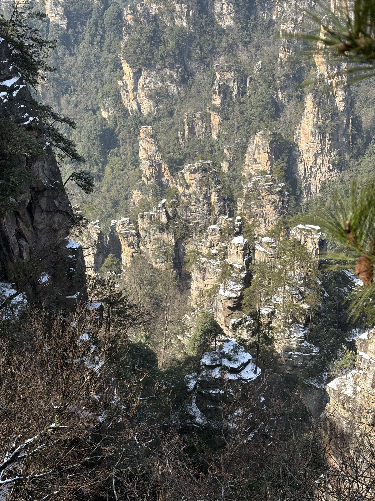 Picture China Zhangjiajie Tianzi Mountrain 2026-01 21 - Flight Tianzi Mountrain