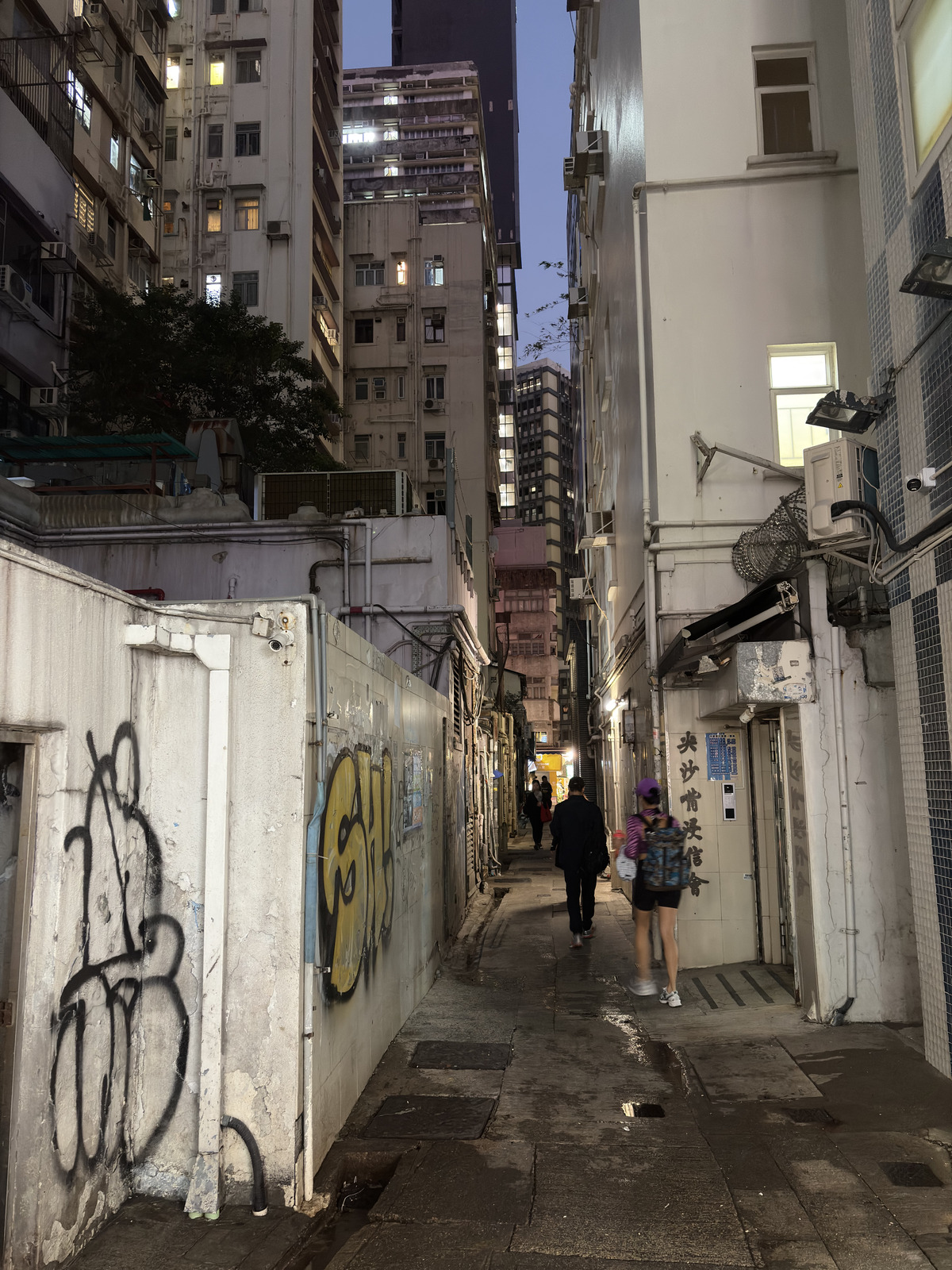 Picture Hong-Kong 2026-01 32 - Tourist Places Hong-Kong