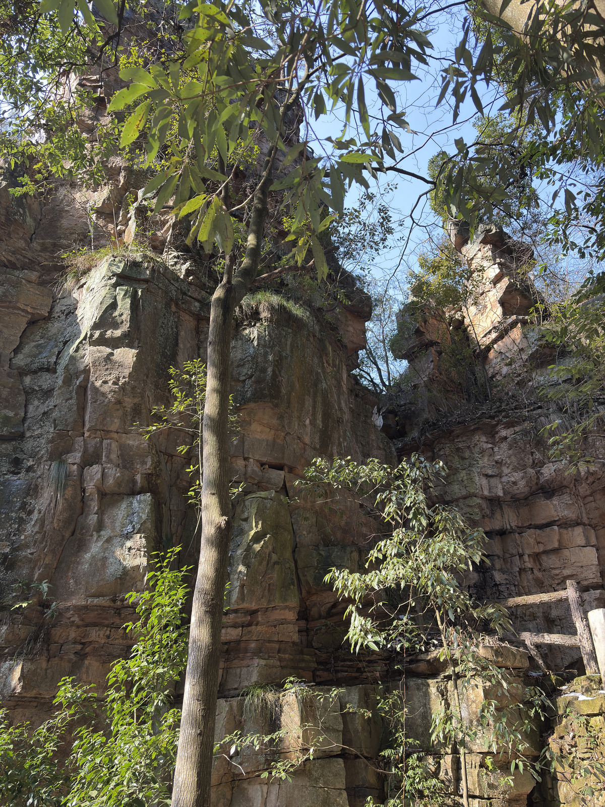 Picture China Zhangjiajie Tianzi Mountrain 2026-01 241 - Randonee Tianzi Mountrain