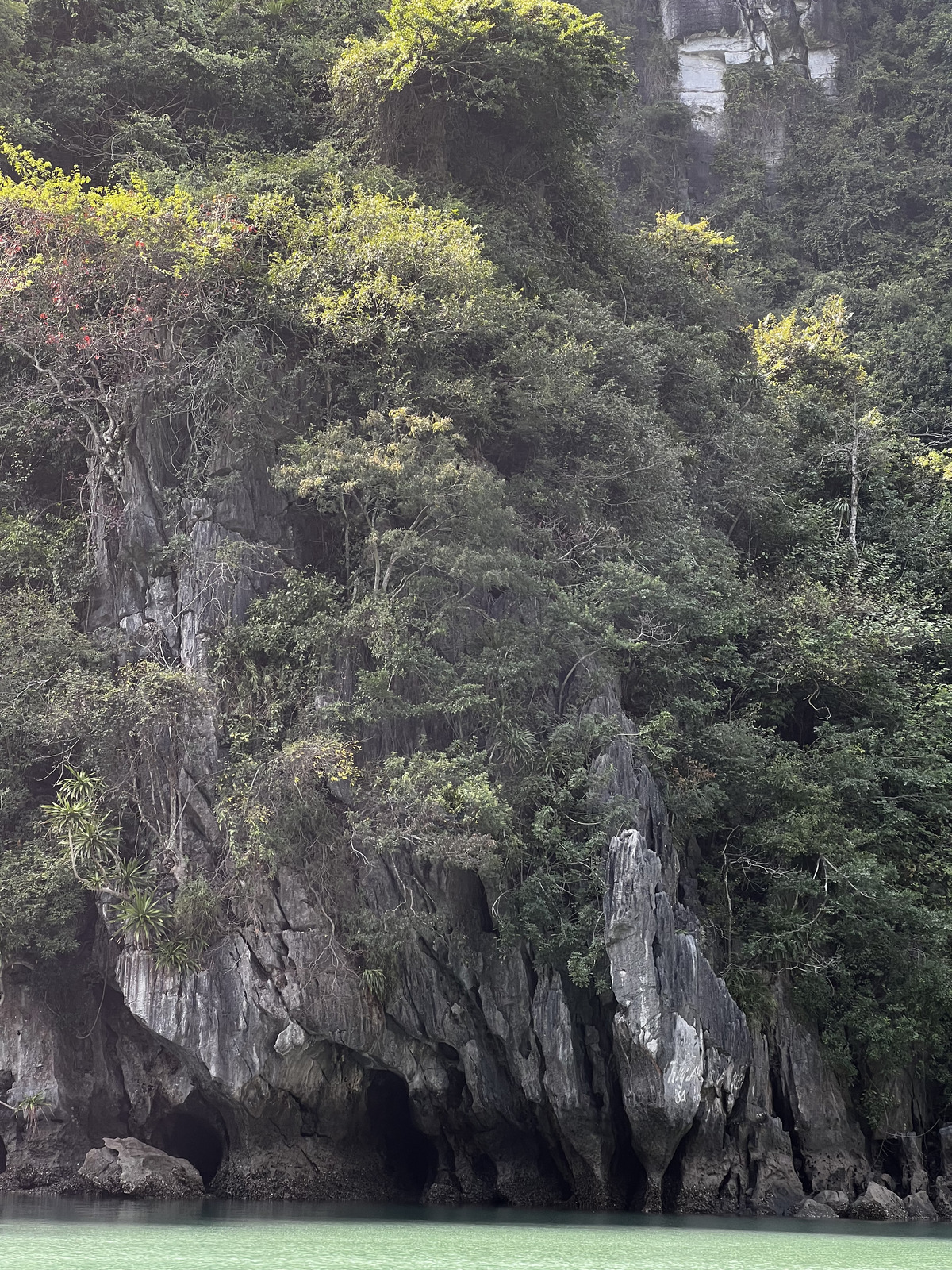 Picture Vietnam Ha Long Bay 2024-01 48 - Sight Ha Long Bay