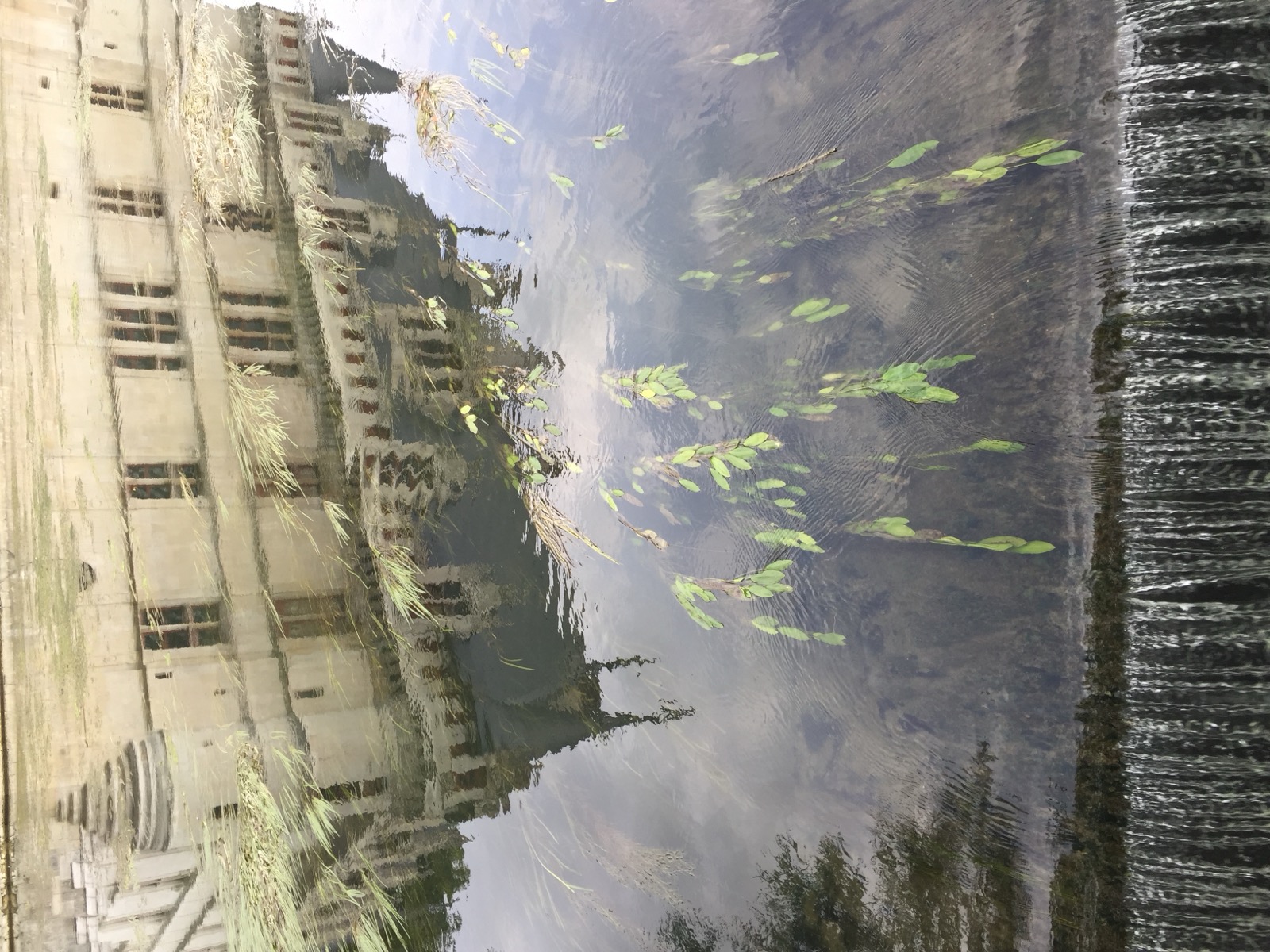 Picture France Azay-le-Rideau Castle 2017-08 14