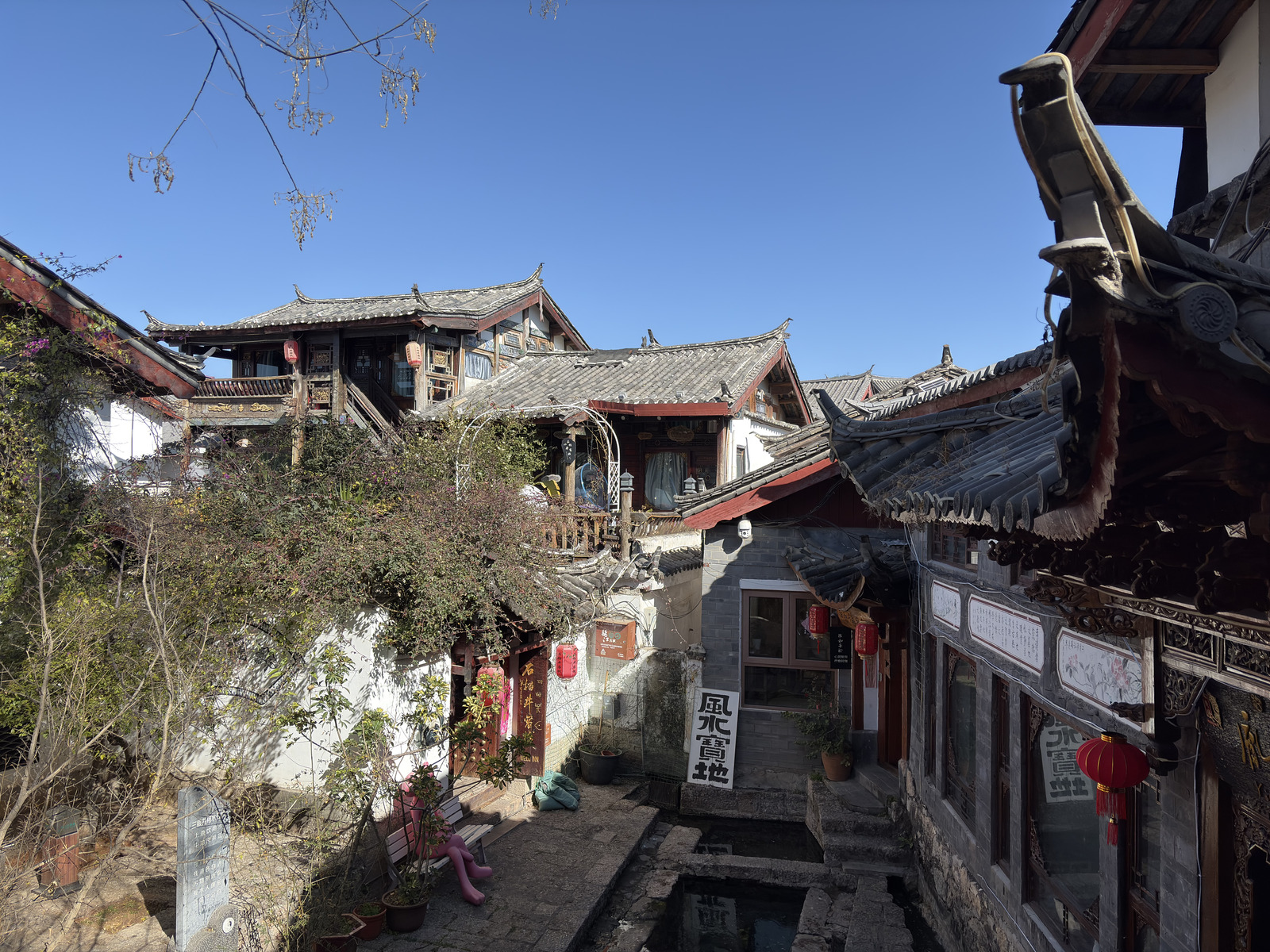 Picture China Lijiang 2026-01 119 - Pictures Lijiang