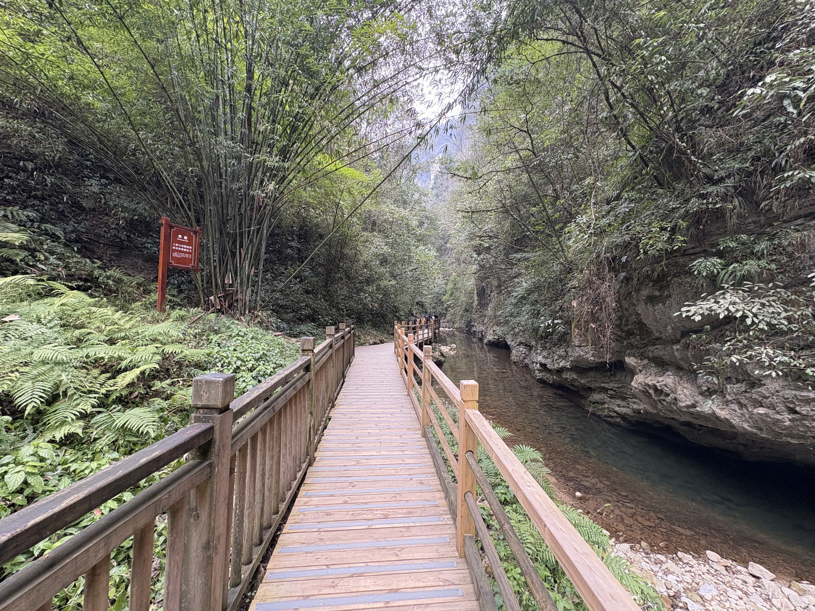 Picture China Zhangjiajie Grand Canion 2026-01 19 - Photos Grand Canion