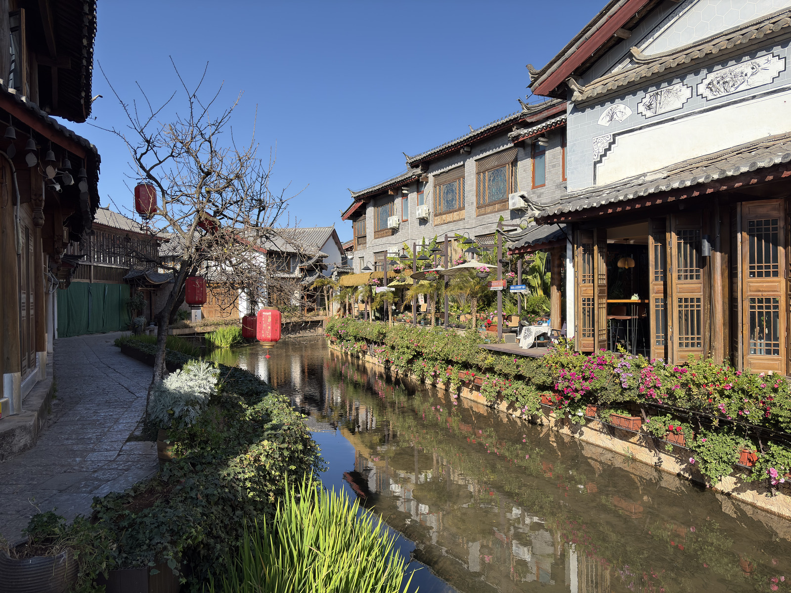Picture China Lijiang 2026-01 553 - Randonee Lijiang