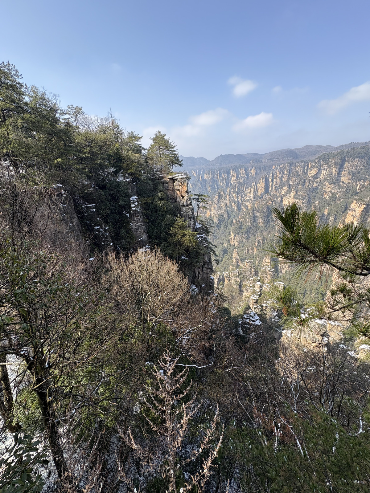 Picture China Zhangjiajie Tianzi Mountrain 2026-01 65 - Sight Tianzi Mountrain