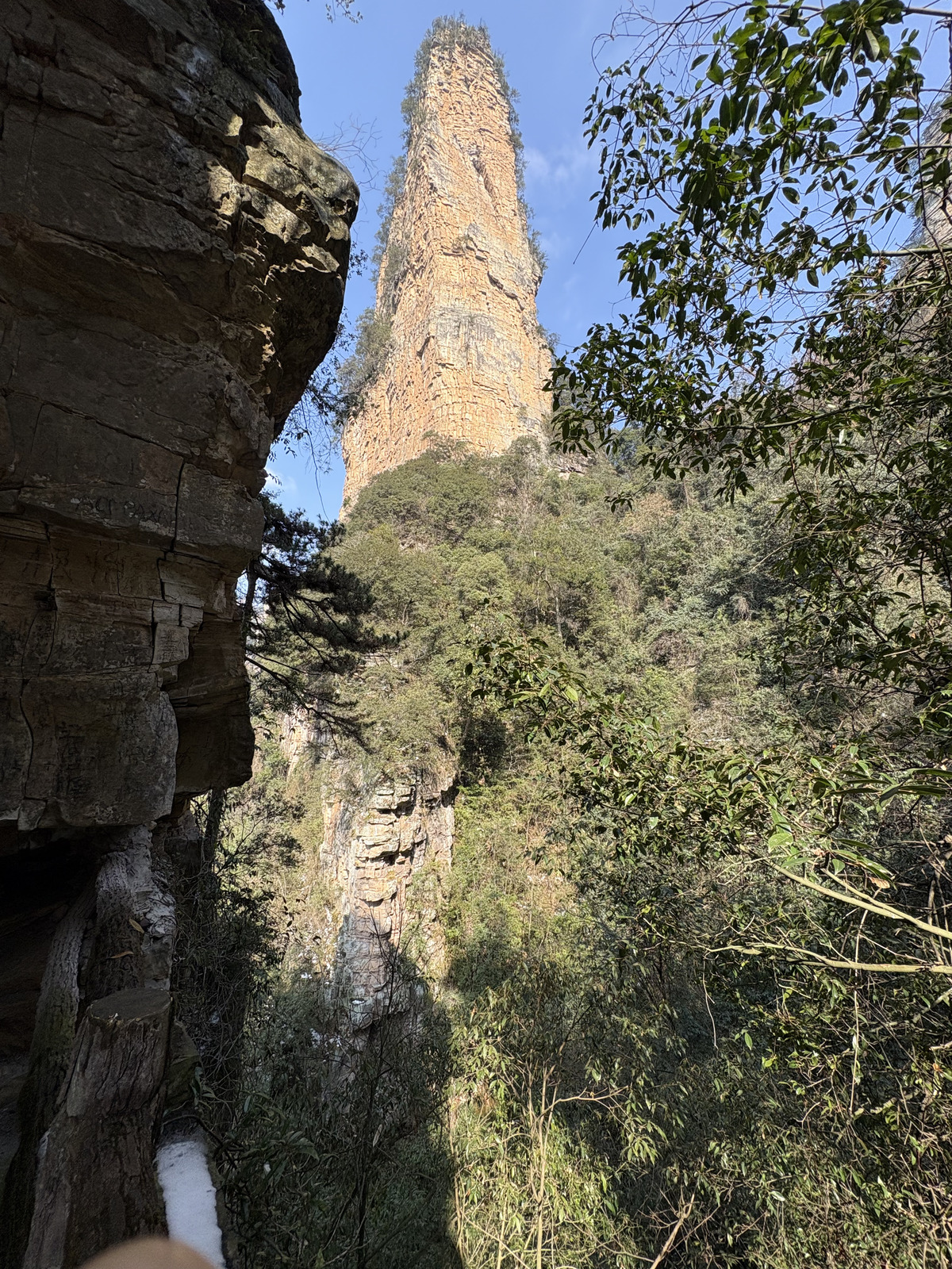 Picture China Zhangjiajie Tianzi Mountrain 2026-01 388 - Pictures Tianzi Mountrain