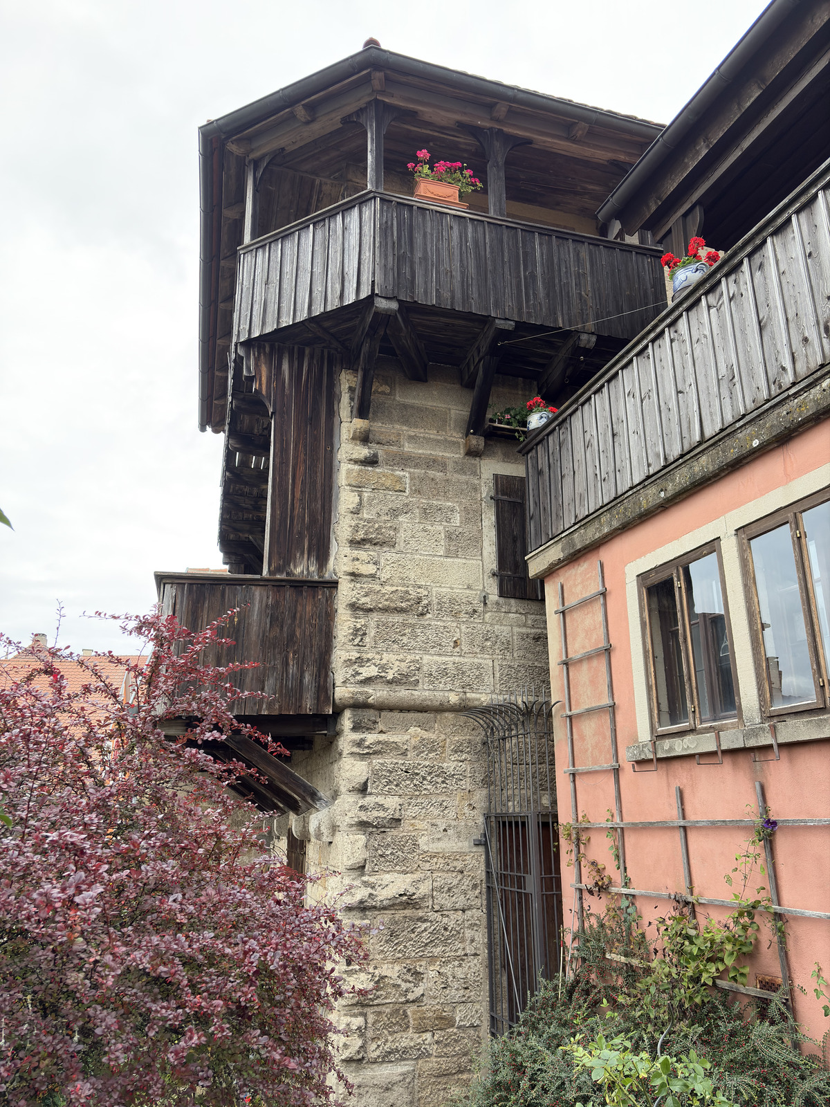 Picture Germany Rothenburg ob der Tauber⁩ 2025-09 141 - Sight Rothenburg ob der Tauber⁩