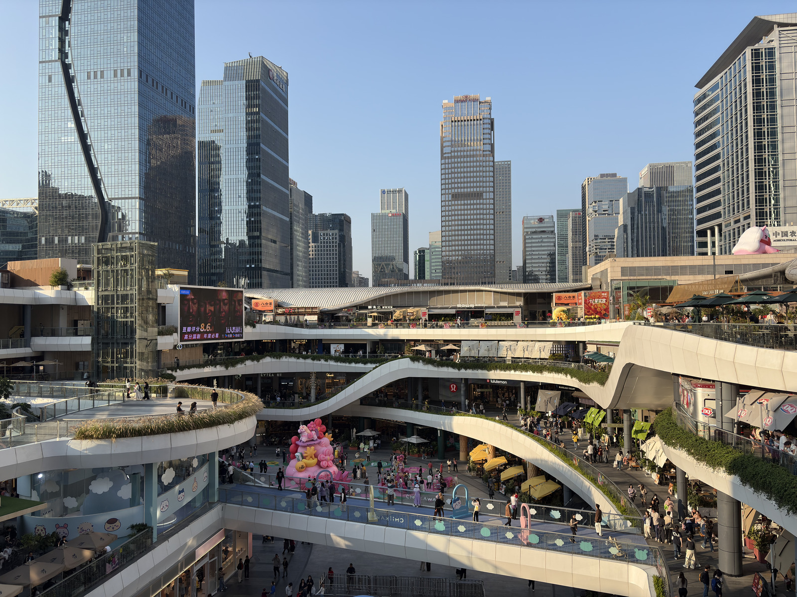Picture China Shenzhen 2026-01 39 - Photographer Shenzhen