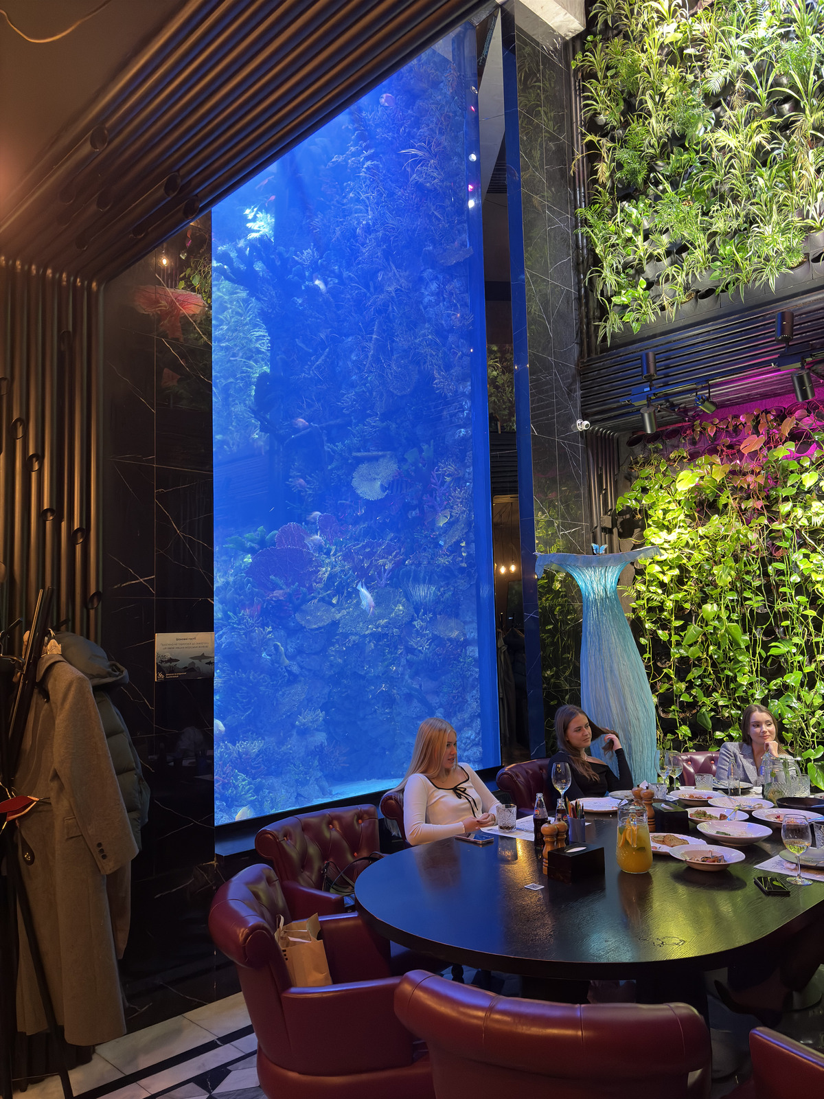 Picture Ukraine Lviv Restaurants 2024-10 110 - Discover Restaurants