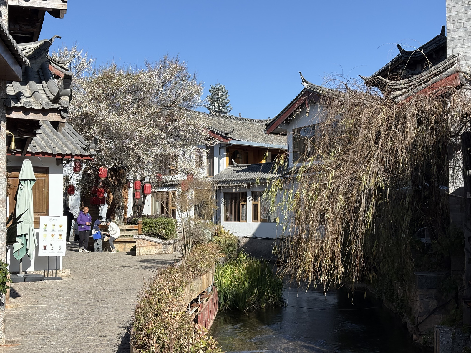 Picture China Lijiang 2026-01 825 - Flights Lijiang