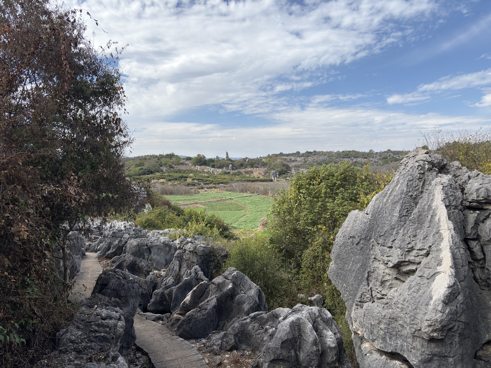 Picture China Shilin Stone Forest 2026-01 80 - Trips Shilin Stone Forest