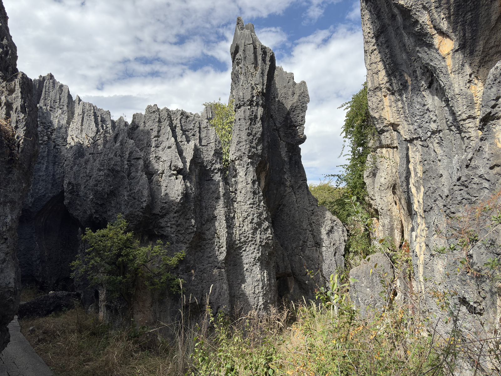 Picture China Shilin Stone Forest 2026-01 263 - Visit Shilin Stone Forest