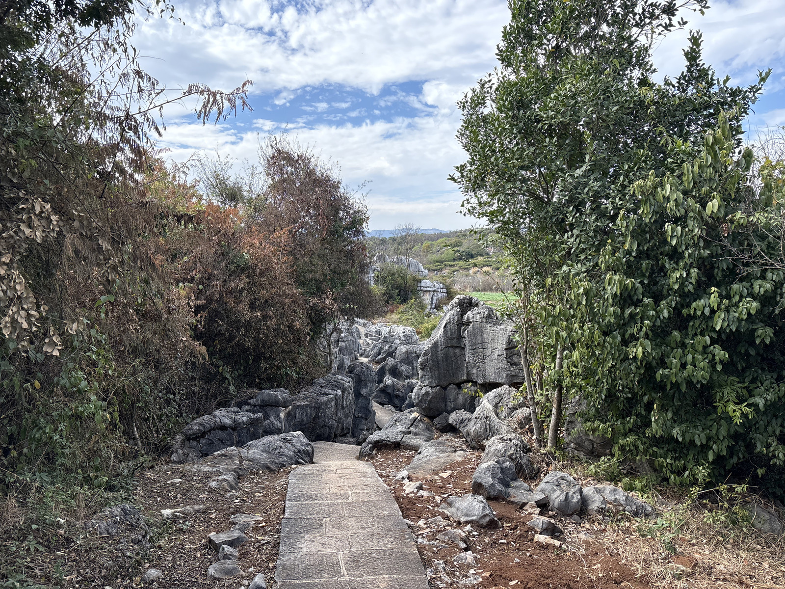 Picture China Shilin Stone Forest 2026-01 11 - Photographer Shilin Stone Forest