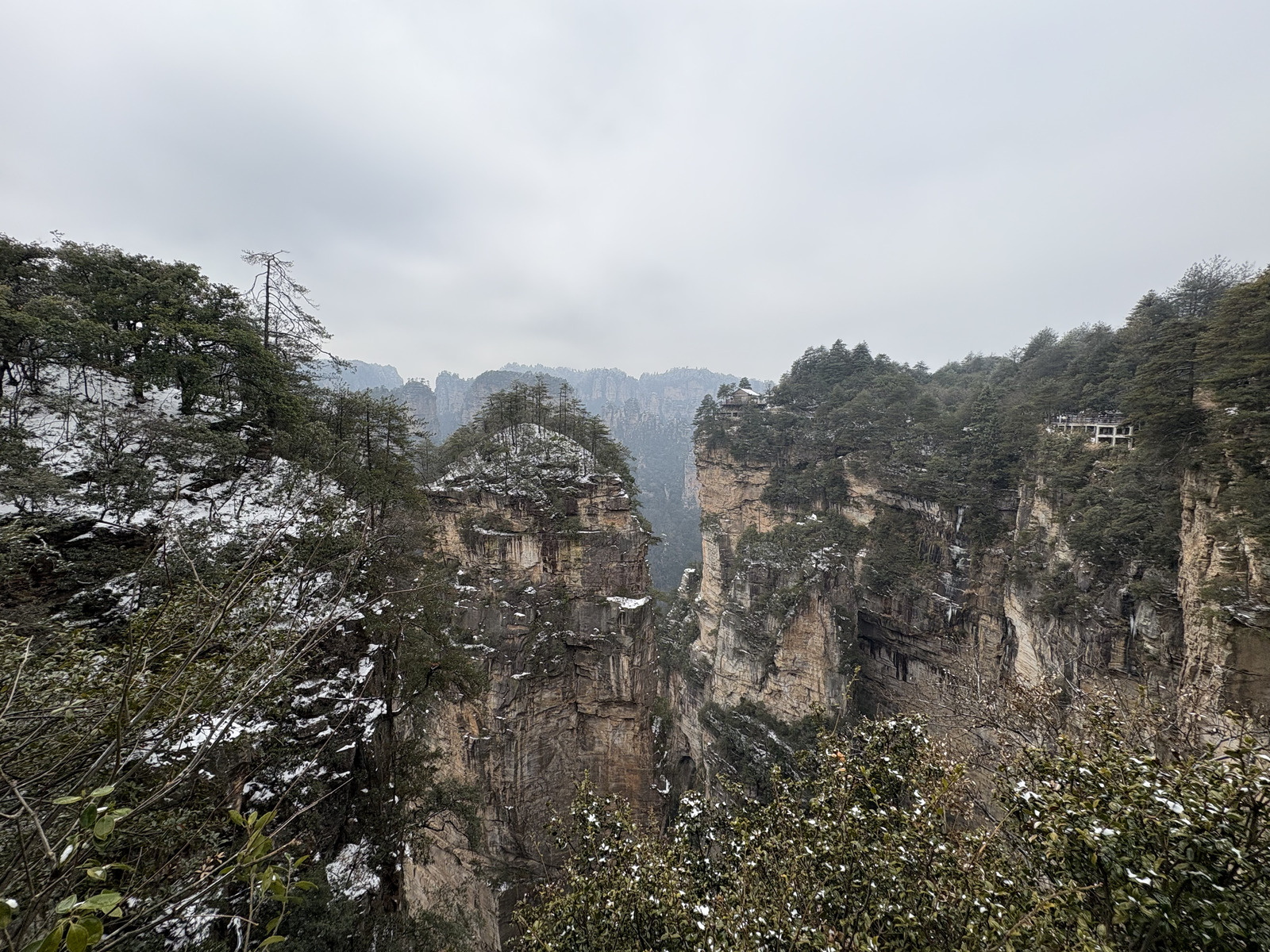 Picture China Zhangjiajie 2026-01 185 - Photographer Zhangjiajie
