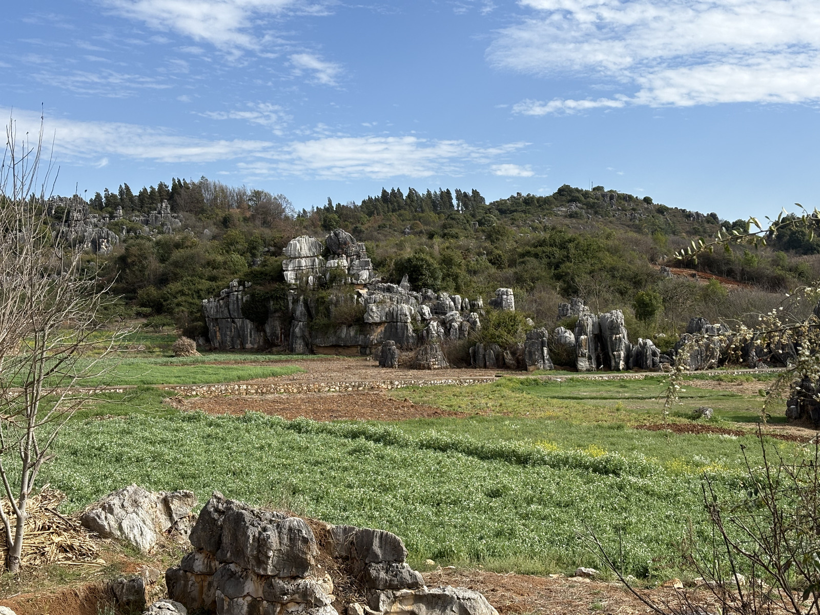 Picture China Shilin Stone Forest 2026-01 280 - Views Shilin Stone Forest