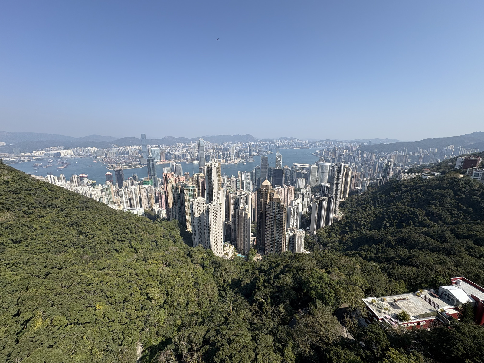 Picture Hong-Kong Hong Kong Island 2026-01 27 - Trail Hong Kong Island