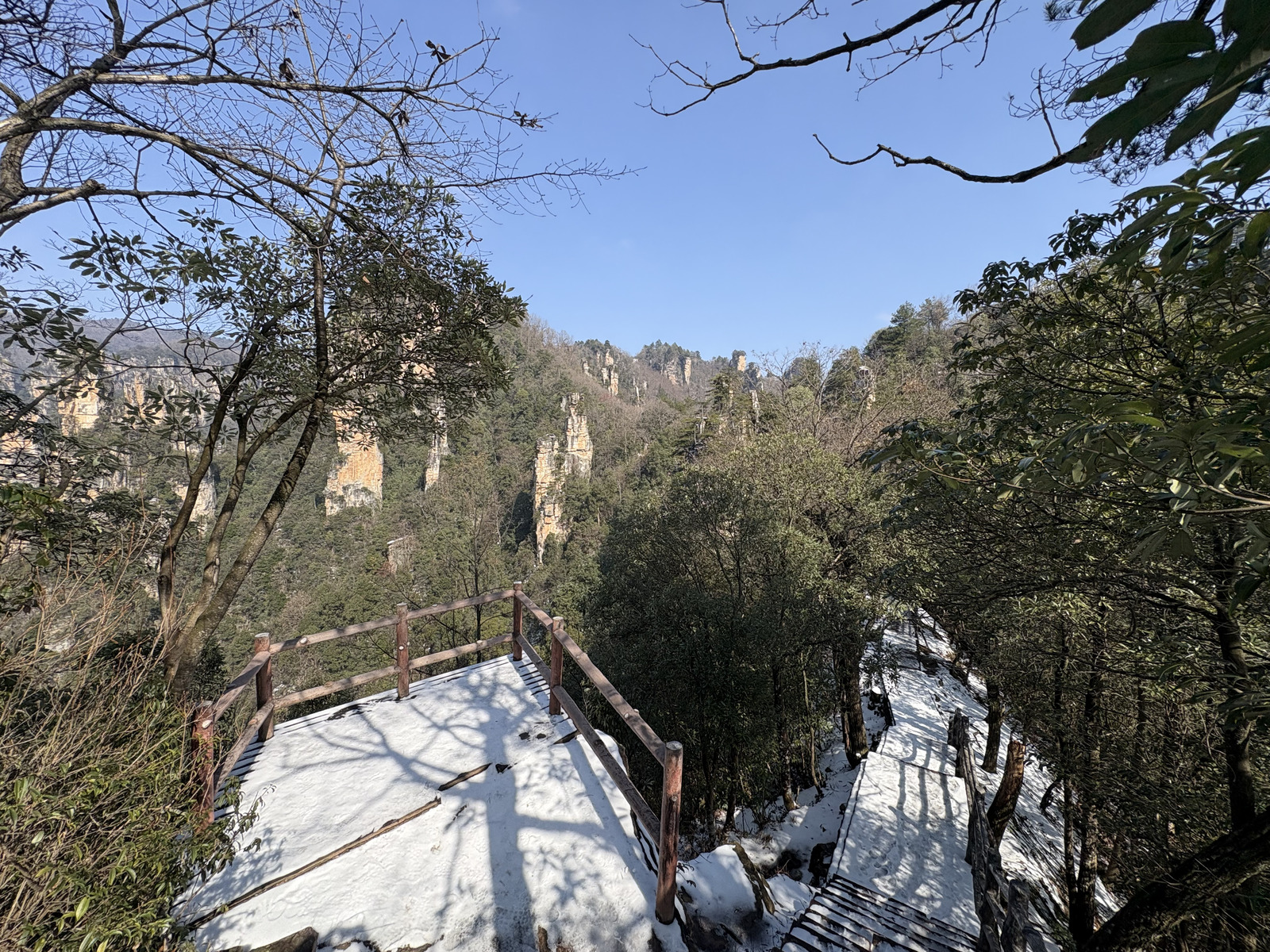 Picture China Zhangjiajie Tianzi Mountrain 2026-01 28 - Photographers Tianzi Mountrain