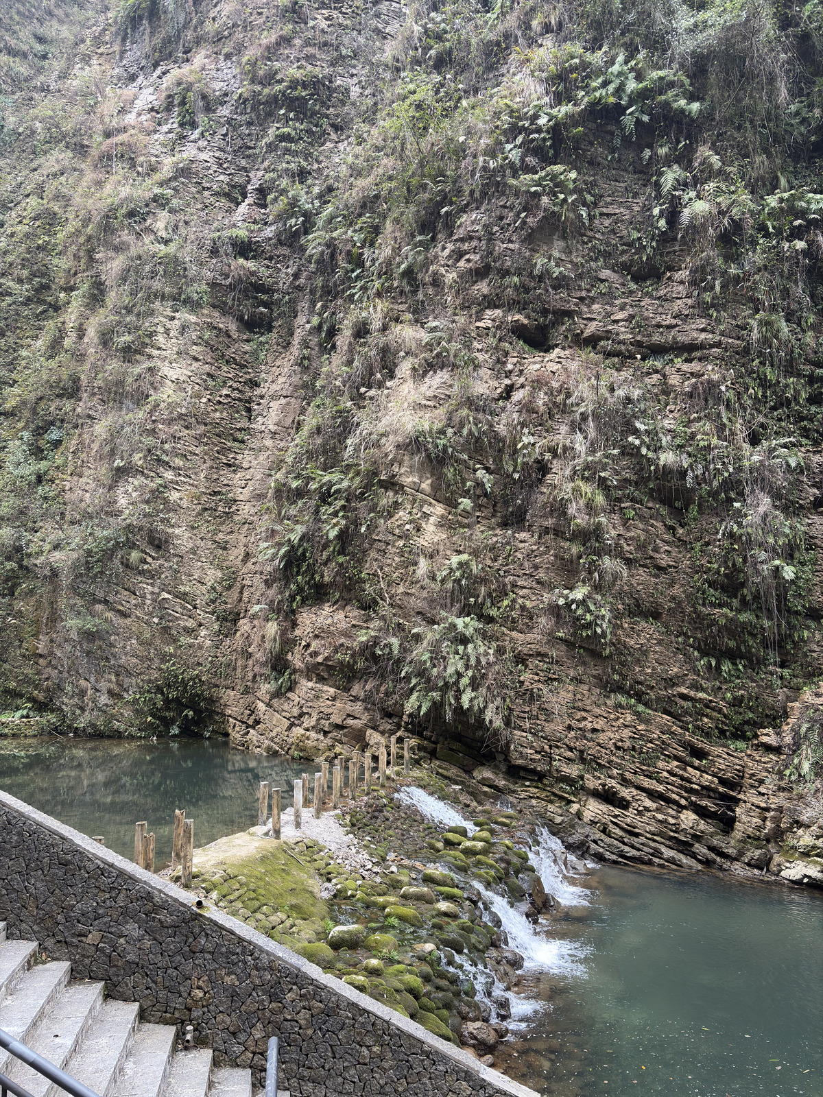 Picture China Zhangjiajie Grand Canion 2026-01 40 - Tourist Attraction Grand Canion