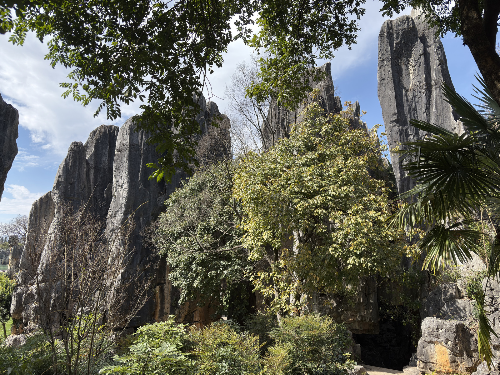 Picture China Shilin Stone Forest 2026-01 128 - Travel Shilin Stone Forest