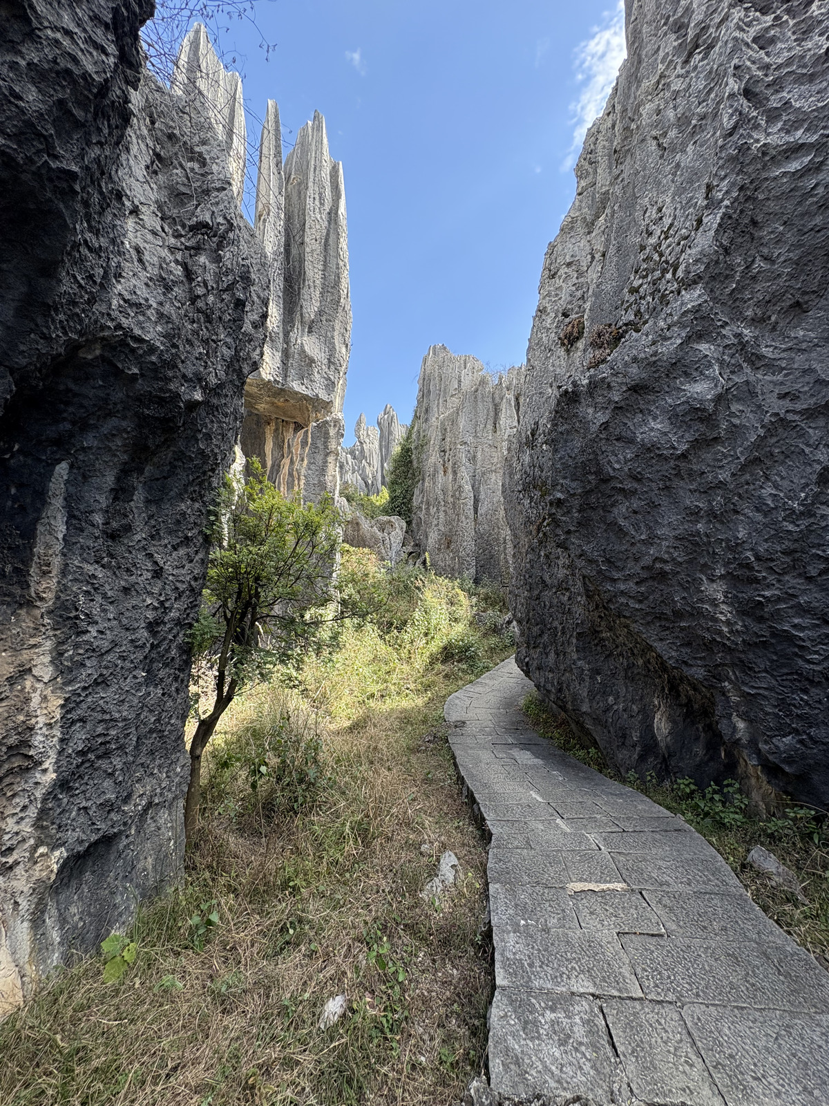Picture China Shilin Stone Forest 2026-01 163 - Pictures Shilin Stone Forest