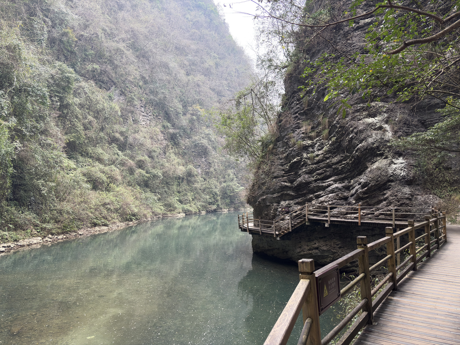Picture China Zhangjiajie Grand Canion 2026-01 20 - Discover Grand Canion