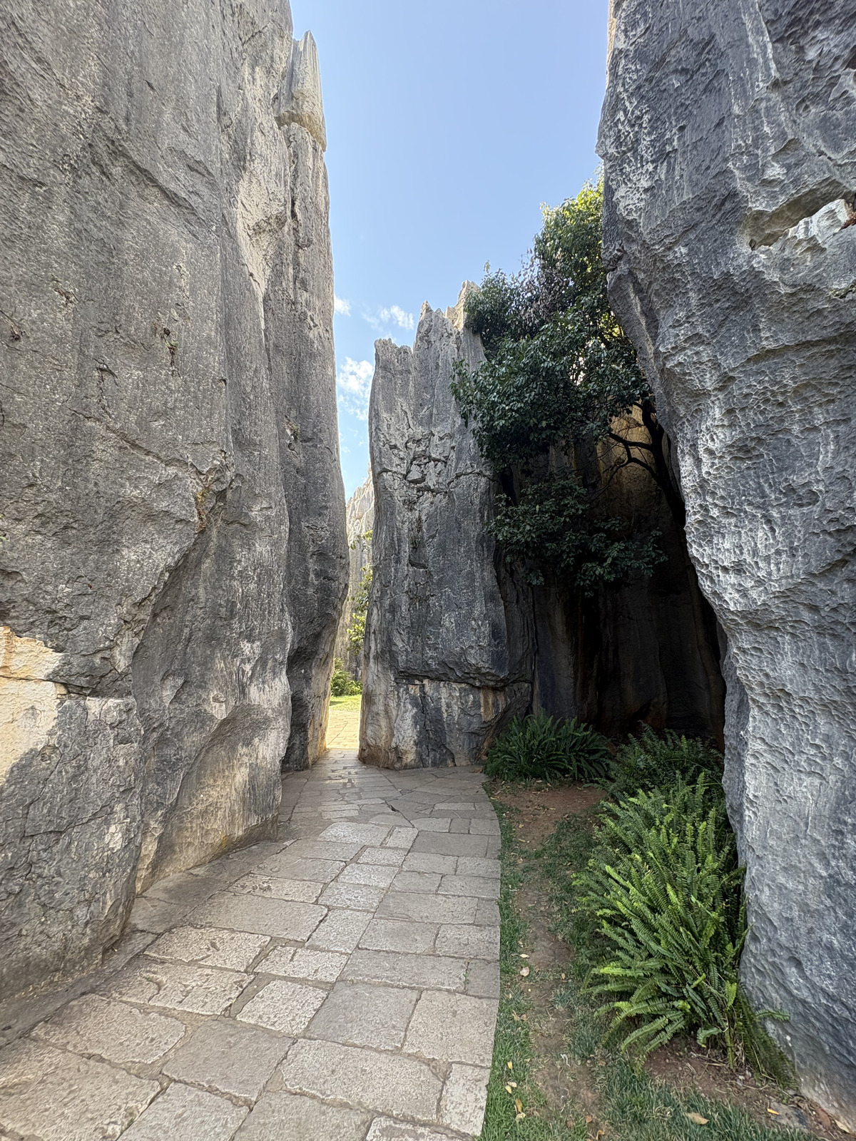 Picture China Shilin Stone Forest 2026-01 127 - Visit Shilin Stone Forest
