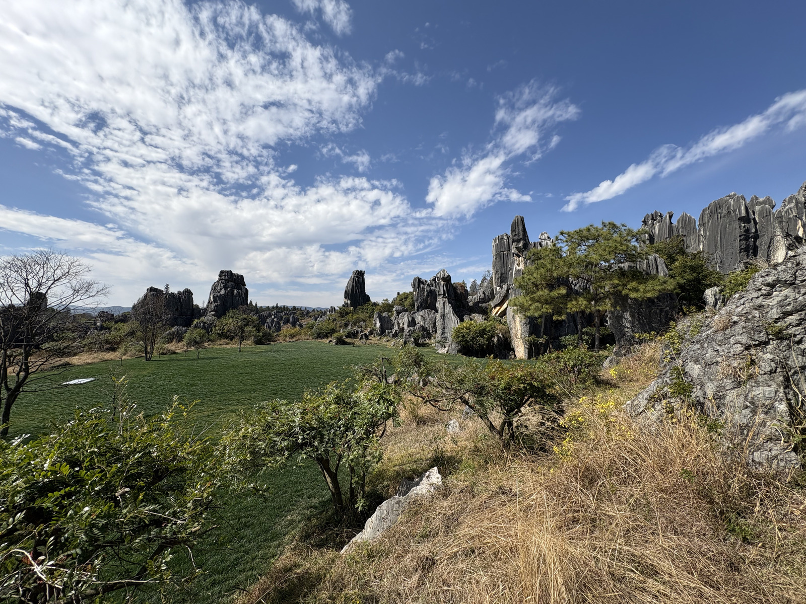 Picture China Shilin Stone Forest 2026-01 331 - Perspective Shilin Stone Forest