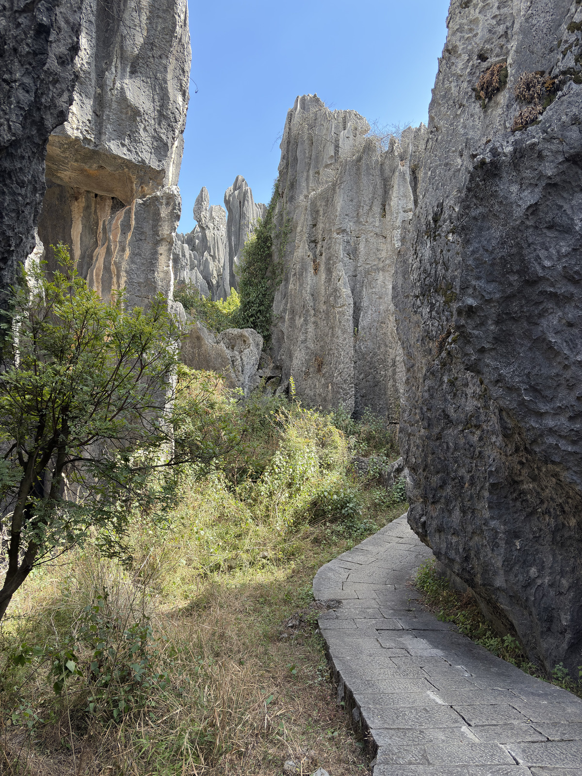 Picture China Shilin Stone Forest 2026-01 124 - Flight Shilin Stone Forest