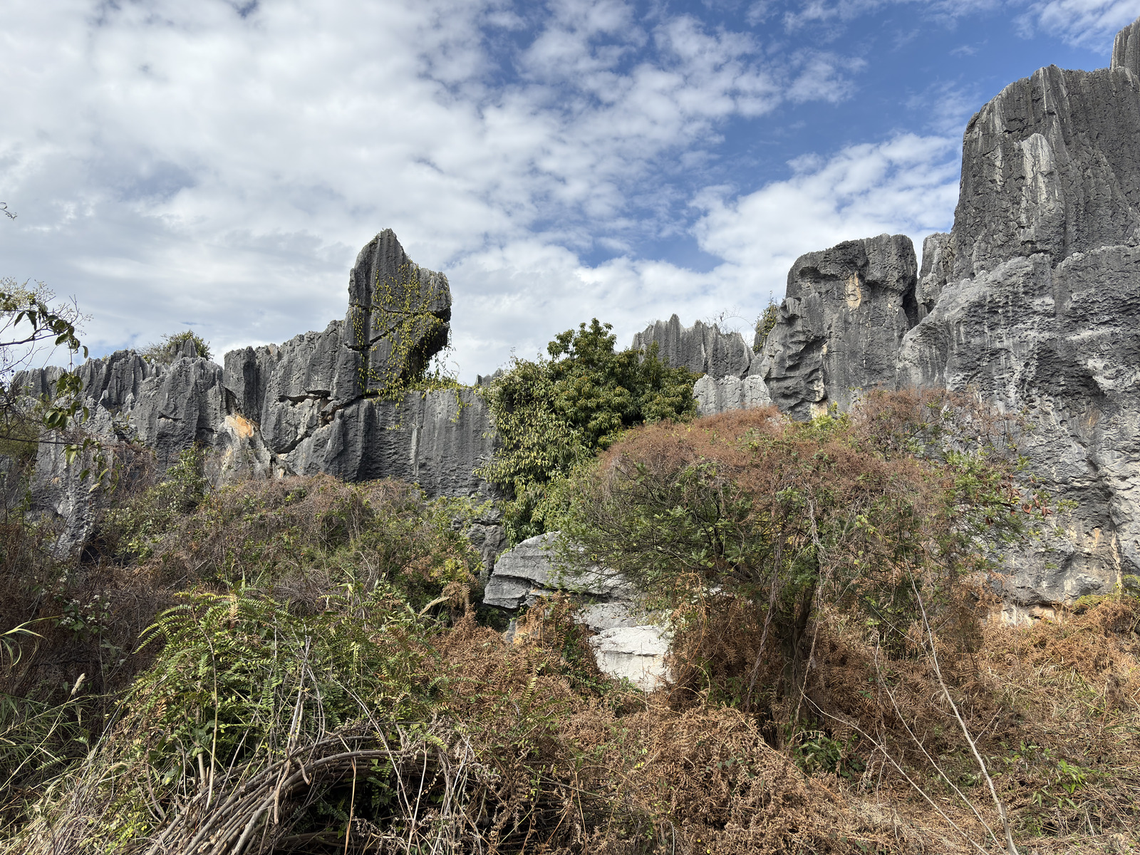 Picture China Shilin Stone Forest 2026-01 134 - Tourist Shilin Stone Forest