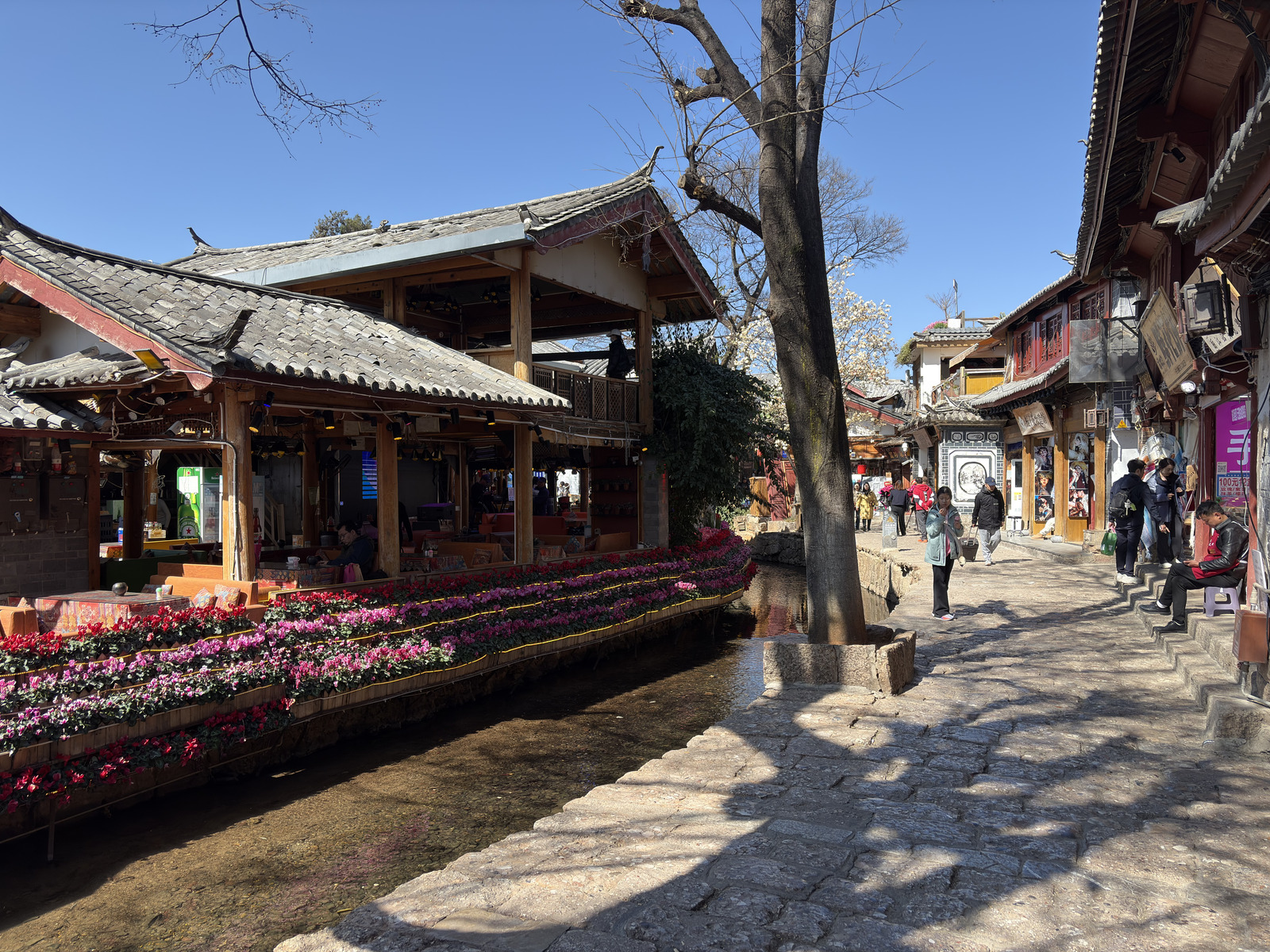 Picture China Lijiang 2026-01 377 - Photographer Lijiang