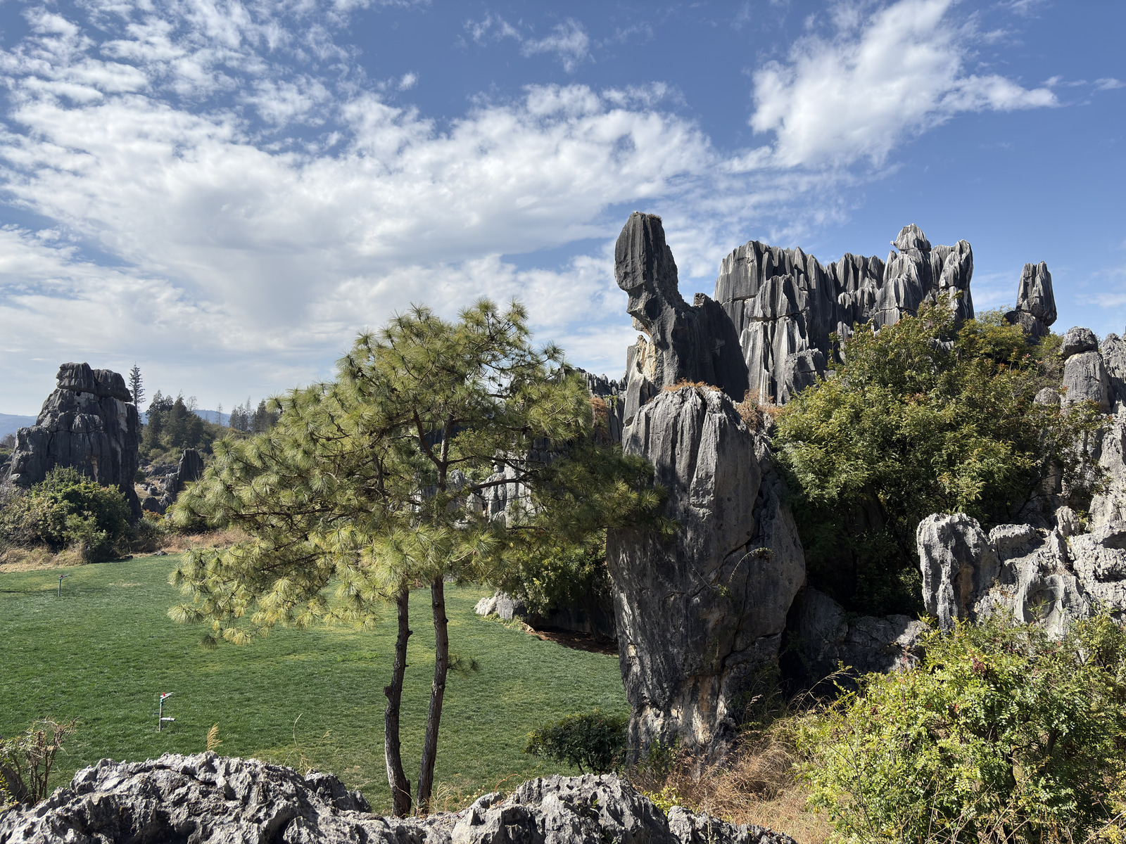 Picture China Shilin Stone Forest 2026-01 23 - Tourist Attraction Shilin Stone Forest