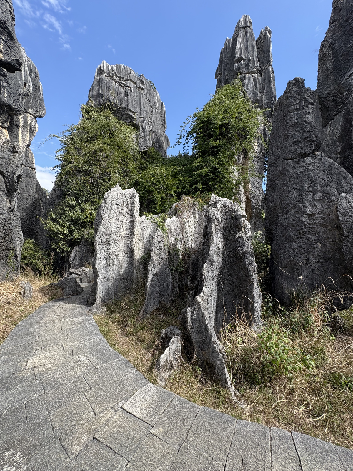 Picture China Shilin Stone Forest 2026-01 8 - Car Shilin Stone Forest