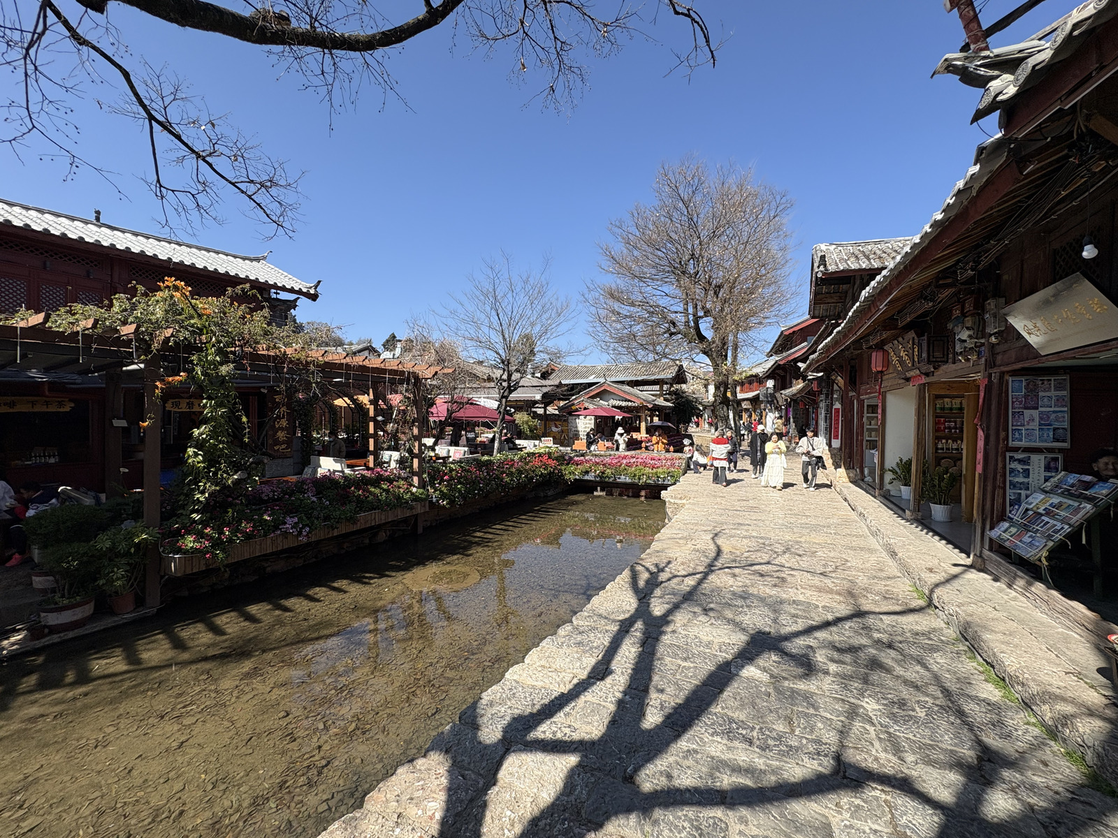 Picture China Lijiang 2026-01 479 - Flights Lijiang