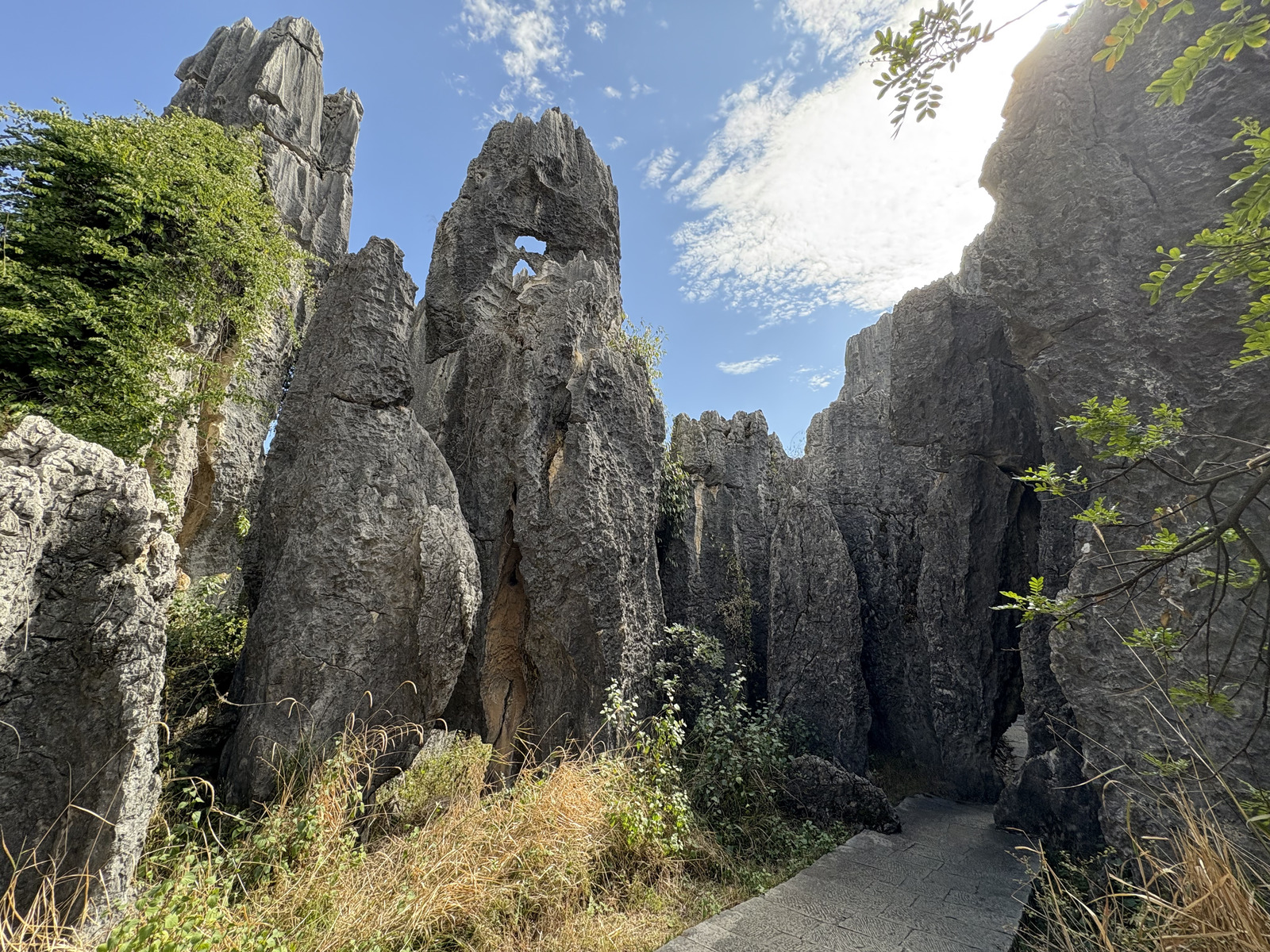 Picture China Shilin Stone Forest 2026-01 380 - Trips Shilin Stone Forest