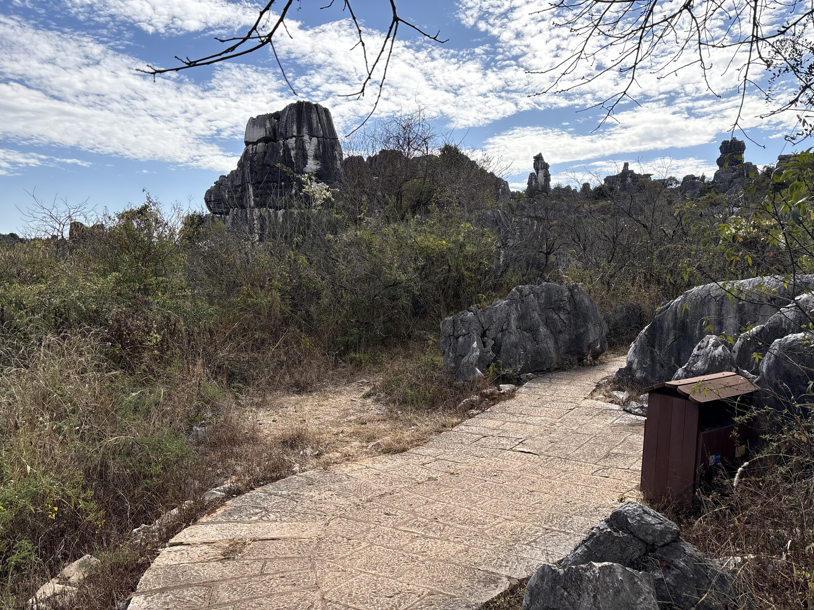 Picture China Shilin Stone Forest 2026-01 3 - View Shilin Stone Forest