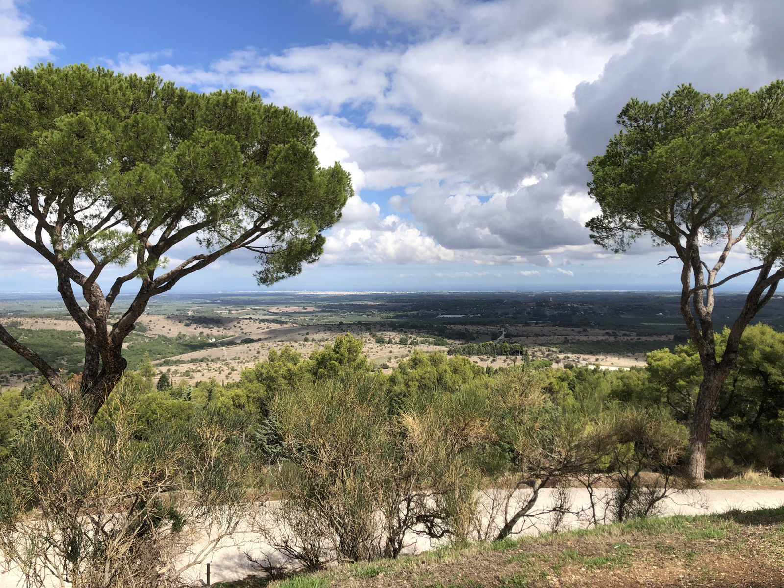 Picture Italy Castel del monte 2024-09 86 - Sightseeing Castel del monte