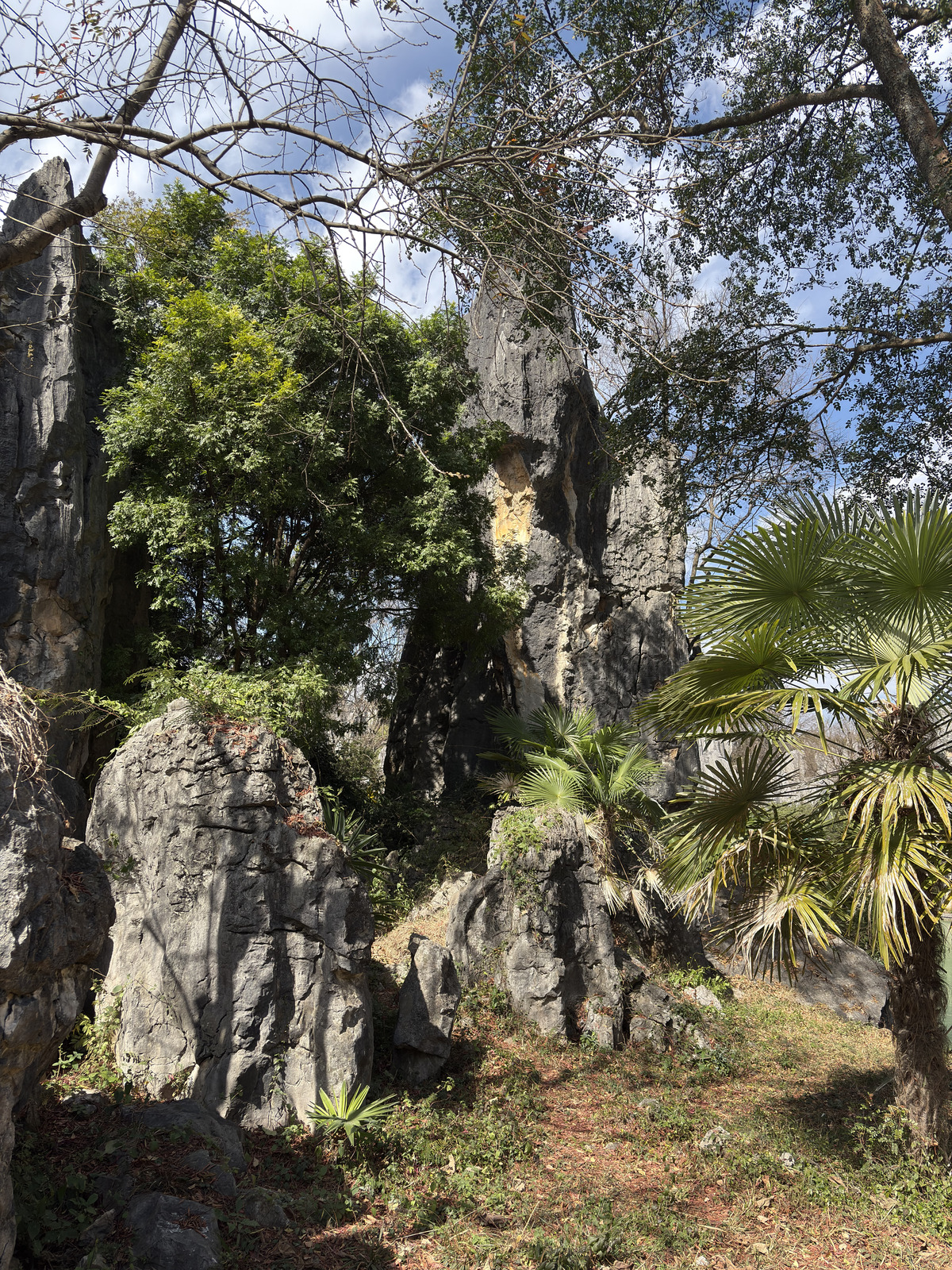 Picture China Shilin Stone Forest 2026-01 36 - Photos Shilin Stone Forest