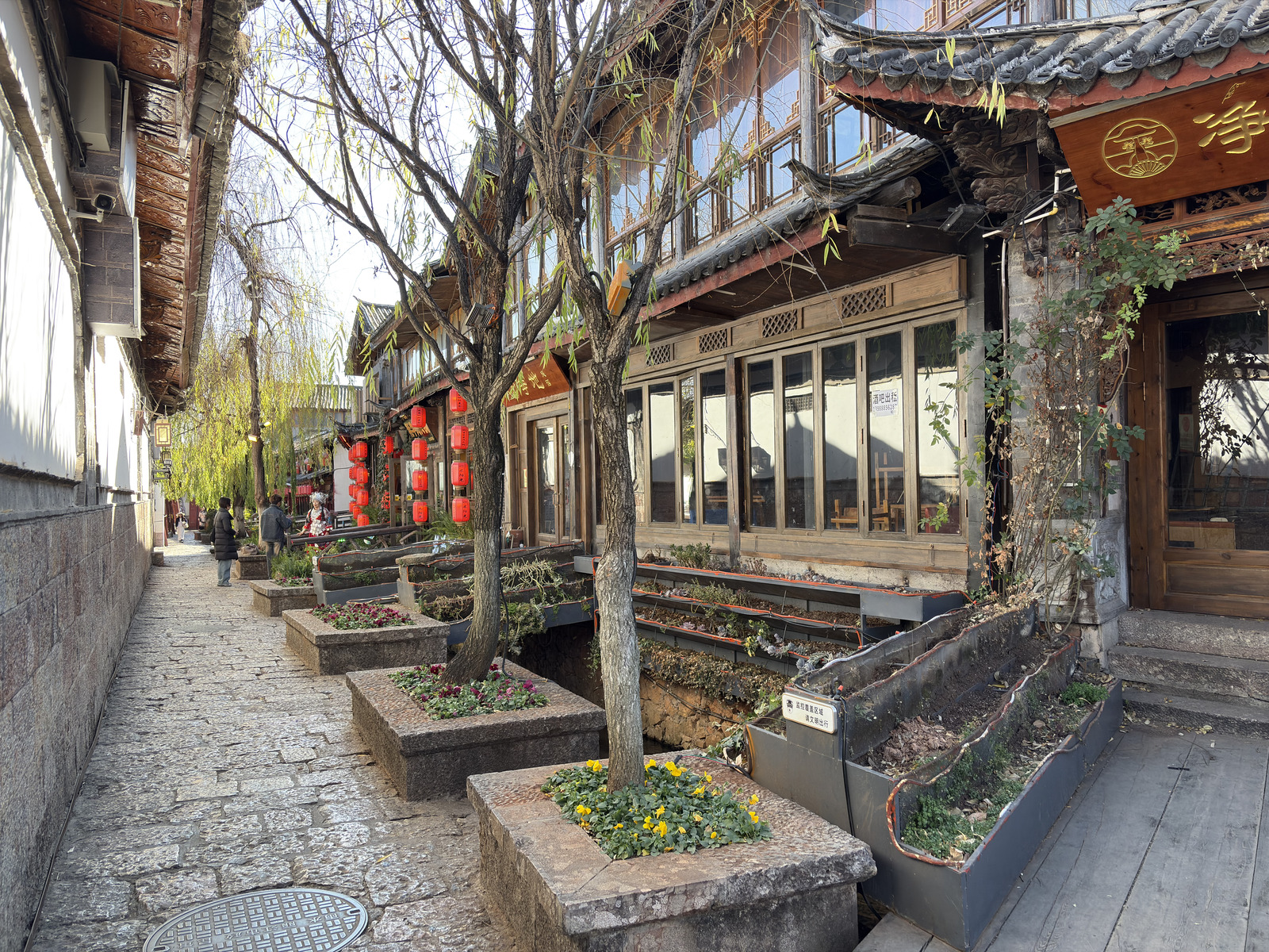 Picture China Lijiang 2026-01 74 - Randonee Lijiang