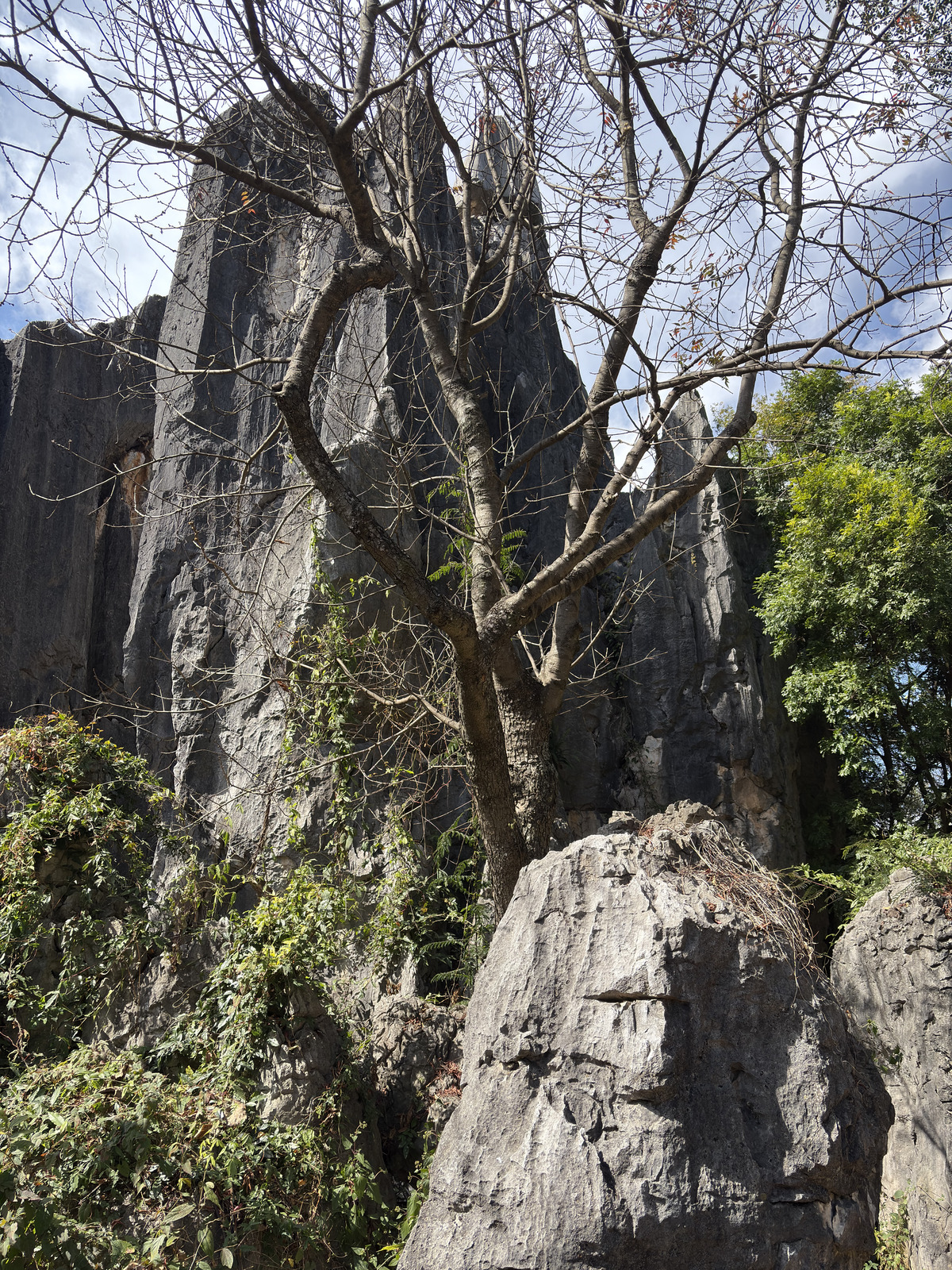 Picture China Shilin Stone Forest 2026-01 58 - Car Shilin Stone Forest