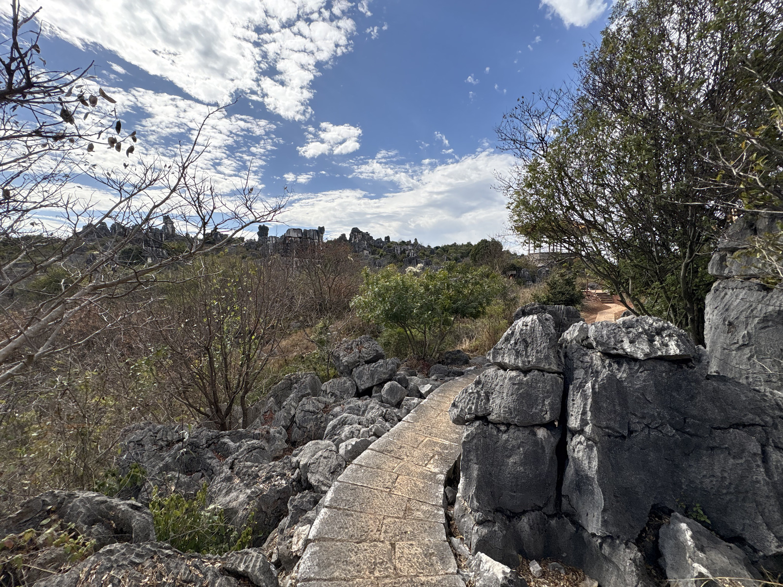 Picture China Shilin Stone Forest 2026-01 325 - Photos Shilin Stone Forest