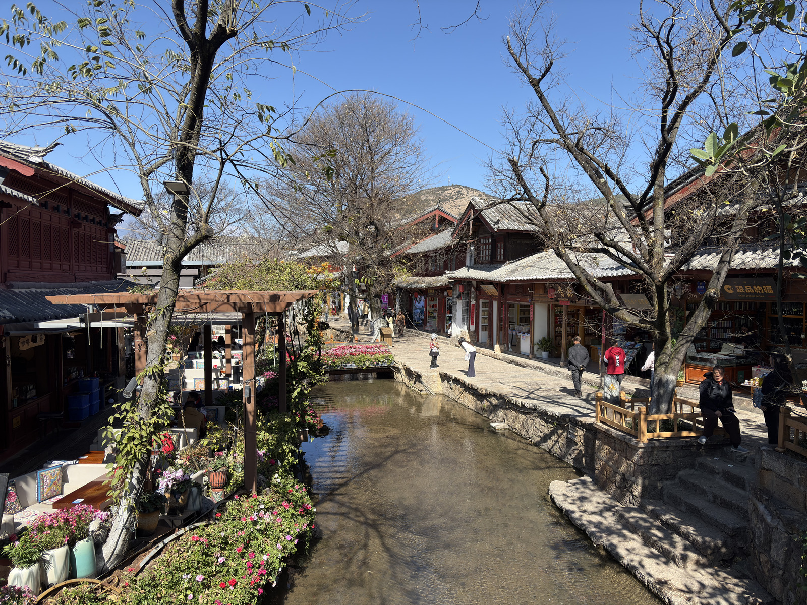 Picture China Lijiang 2026-01 70 - Sight Lijiang