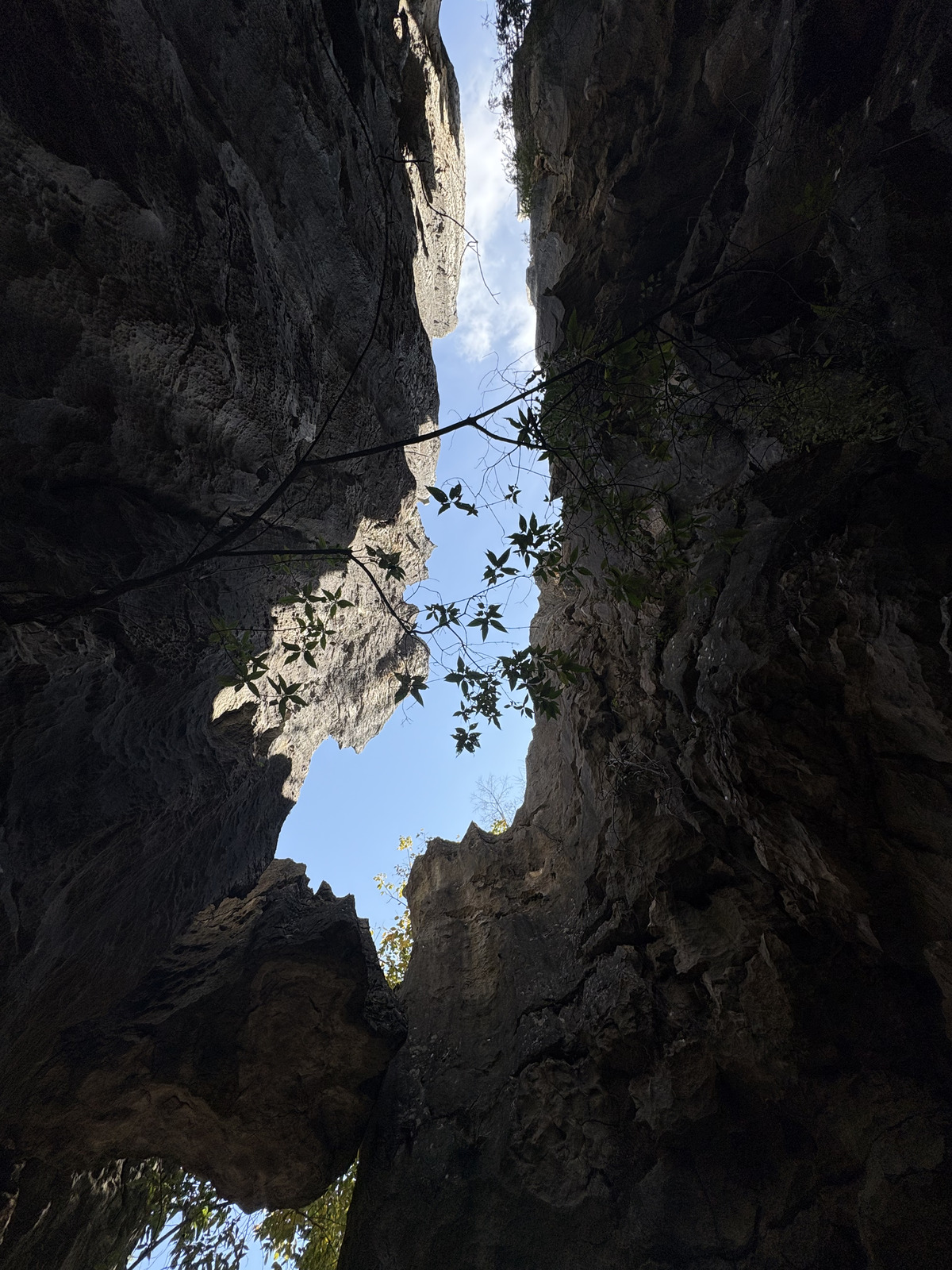Picture China Shilin Stone Forest 2026-01 340 - Sight Shilin Stone Forest