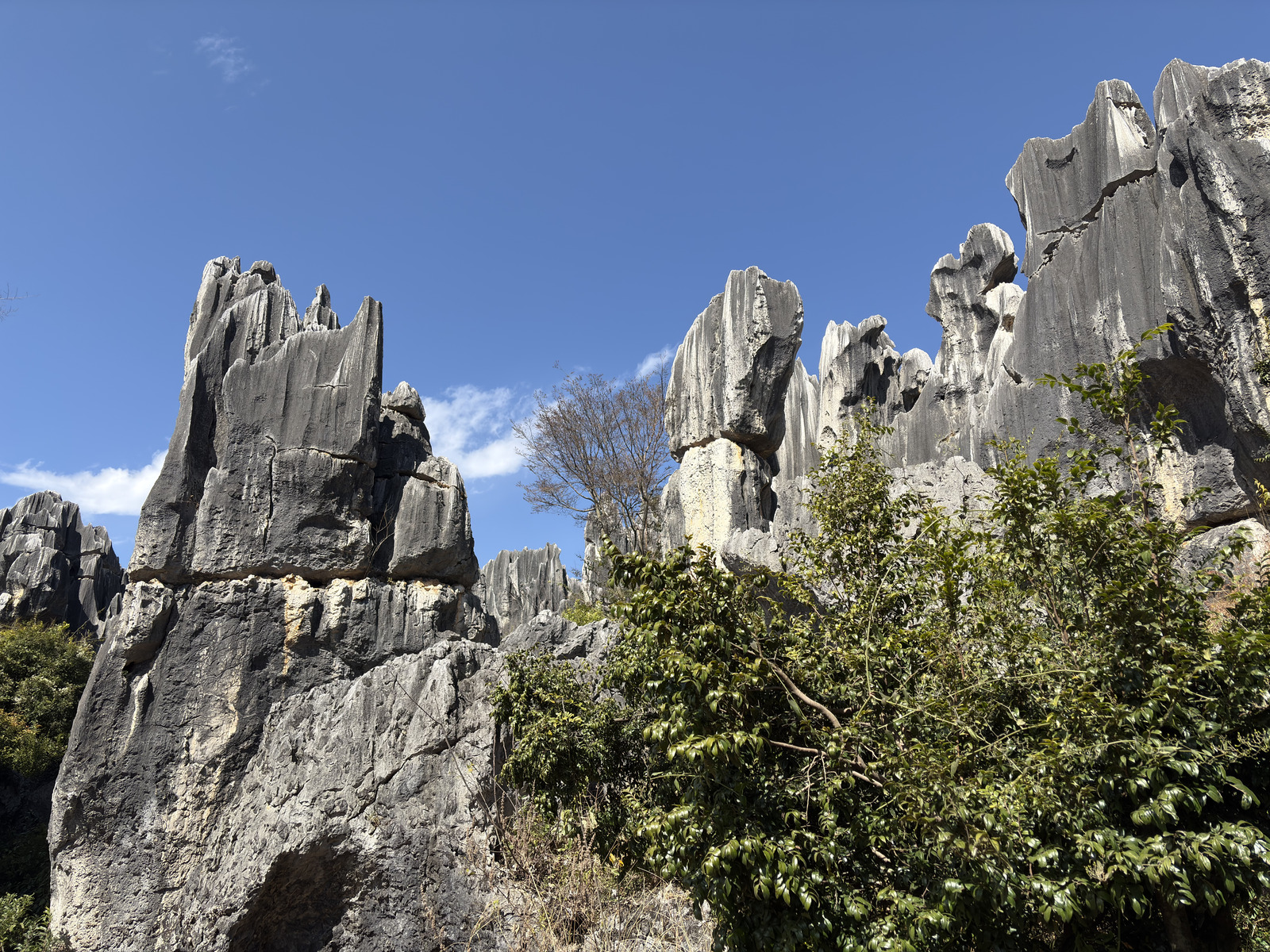 Picture China Shilin Stone Forest 2026-01 276 - Trail Shilin Stone Forest