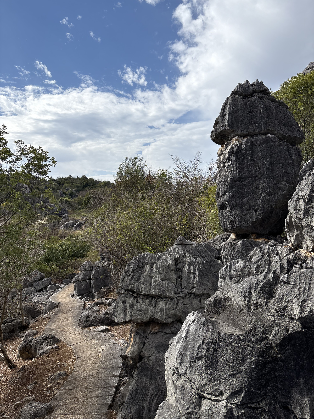 Picture China Shilin Stone Forest 2026-01 375 - Journey Shilin Stone Forest