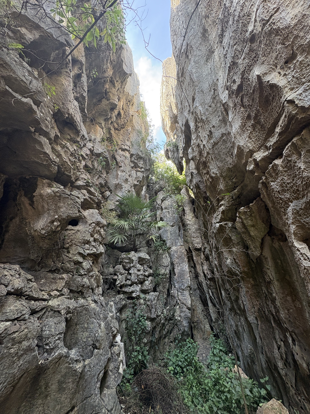 Picture China Shilin Stone Forest 2026-01 359 - Views Shilin Stone Forest