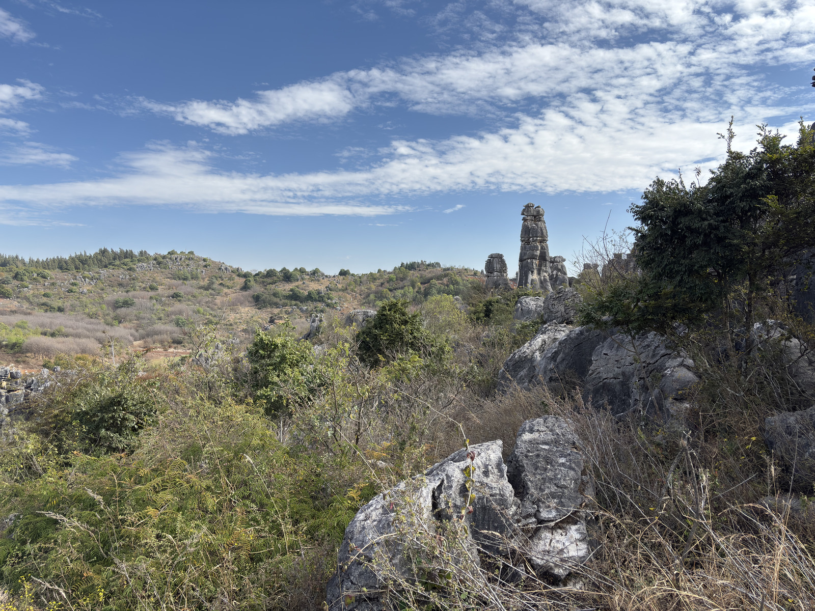 Picture China Shilin Stone Forest 2026-01 394 - Perspective Shilin Stone Forest
