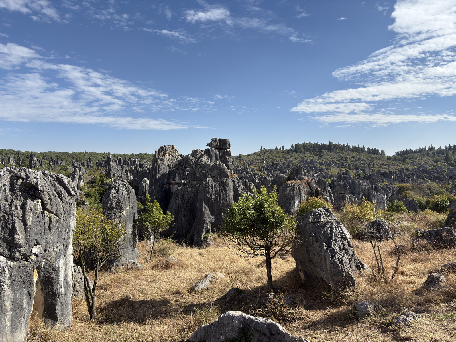 Picture China Shilin Stone Forest 2026-01 367 - Photos Shilin Stone Forest
