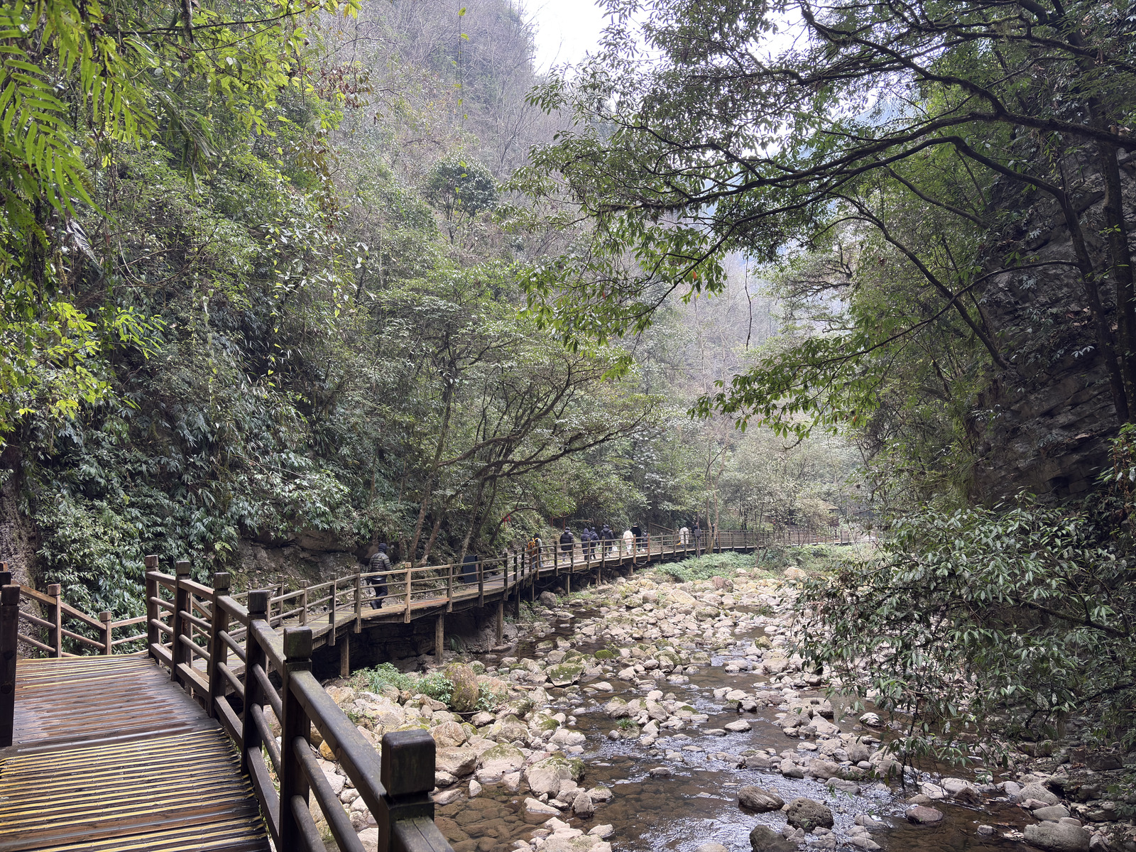Picture China Zhangjiajie Grand Canion 2026-01 13 - Photographers Grand Canion