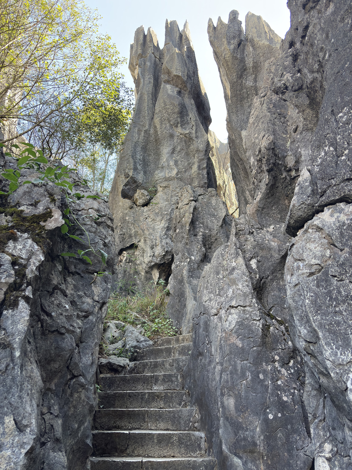 Picture China Shilin Stone Forest 2026-01 295 - Car Rental Shilin Stone Forest